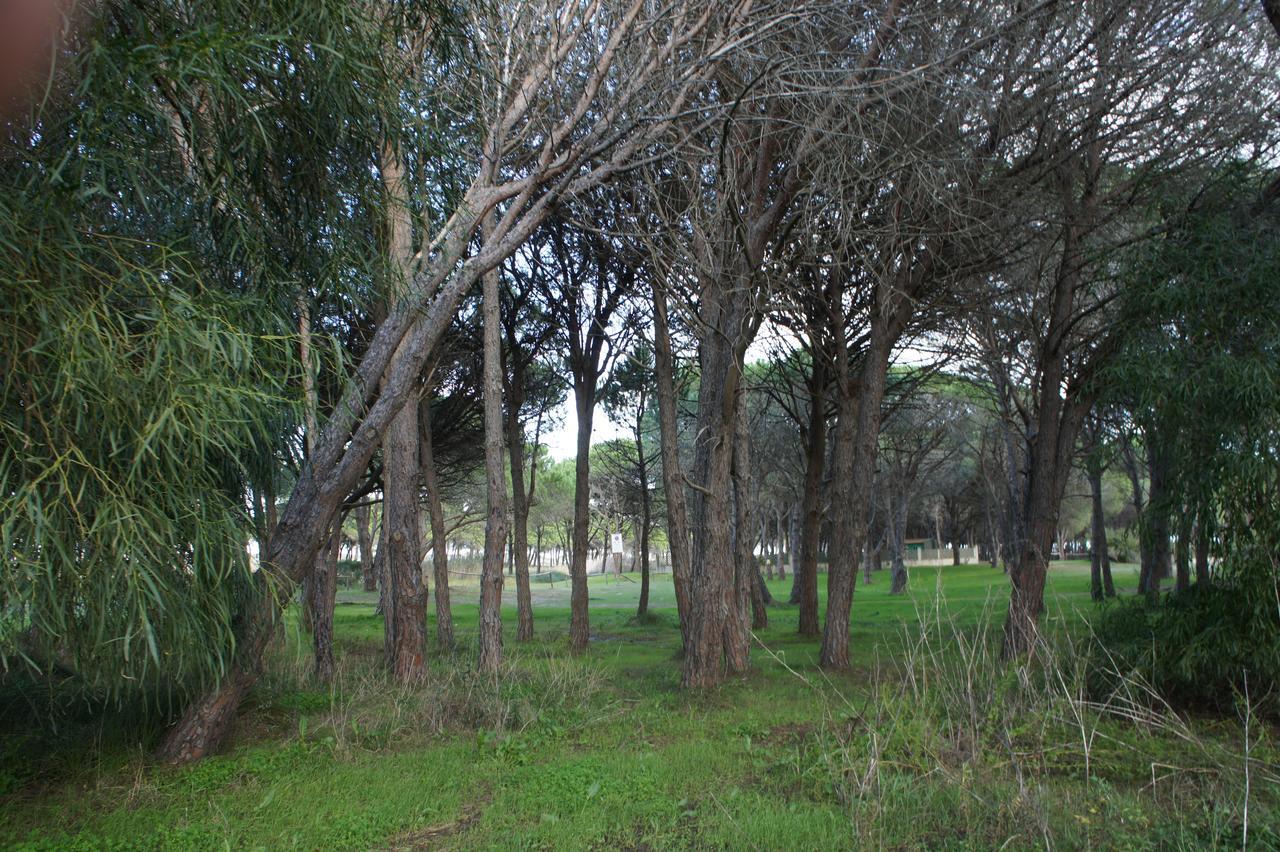 Locanda Farorientale Bed & Breakfast Santa Lucia  Exterior photo